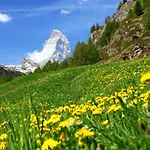Apartamento Vitalis By Interhome Zermatt